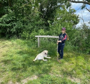 Balade entre Dammartin Sur Tigeaux - Guérard - Tigeaux - Dammartin-sur-Tigeaux - 6
