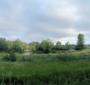 Monteuil-meer - Nogent-sur-Seine - 5