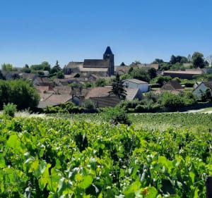Fontaine-Denis-Nuizy (Marne), colonne et dolmen, le vignoble - Fontaine-Denis-Nuisy - 4