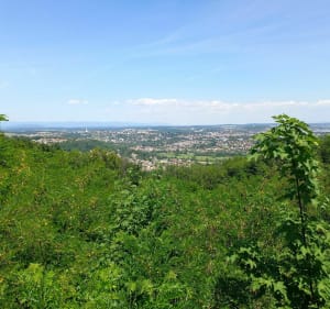 Le tour du Mont-Bart - Bavans - 3