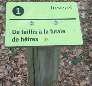 Sentier du Trevezel - Val-d'Aigoual - 3