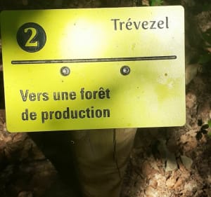 Sentier du Trevezel - Val-d'Aigoual - 4