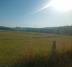 Marche Urt Bellevue, Hasparren Pegna, Urt Bellevue. - Urt - 4