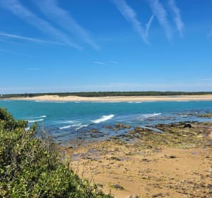 De la Ragounite à la pointe du Payré. - Jard-sur-Mer - 3