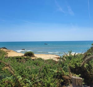 De la Ragounite à la pointe du Payré. - Jard-sur-Mer - 5