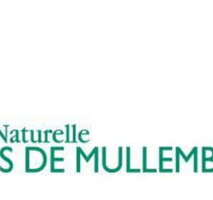 Boucle du camping au centre-ville par la jetée et les marais - Noirmoutier-en-l'Île - 3