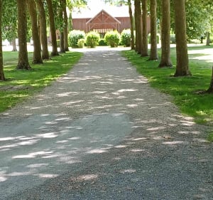 Parcours de la Chaussée-sur-Marne le long du canal - Aulnay-l'Aître - 4