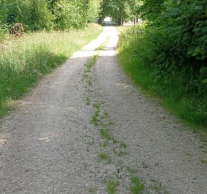 Parcours de la Chaussée-sur-Marne le long du canal - Aulnay-l'Aître - 5