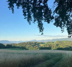 La Combe de Sillingy et le bois de Montessuie - Sillingy - 5