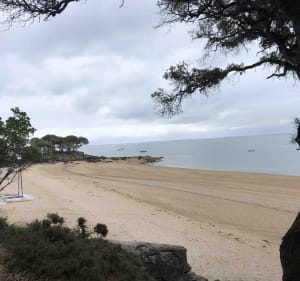 Sacré potentiel patrimonial et naturel à Noirmoutier - Noirmoutier-en-l'Île - 4