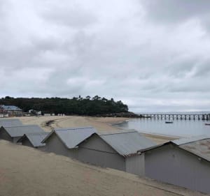 Sacré potentiel patrimonial et naturel à Noirmoutier - Noirmoutier-en-l'Île - 5