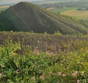 Terril d'Haillicourt de La Buissière - Bruay-la-Buissière - 3