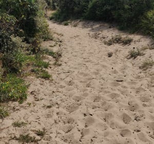 Schitterende wandeling naar Platier D'Oye - Gravelines - 3