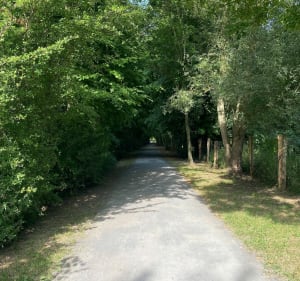 La promenade du Marais de Fretin, par le Bois des Enclos - Fretin - 3