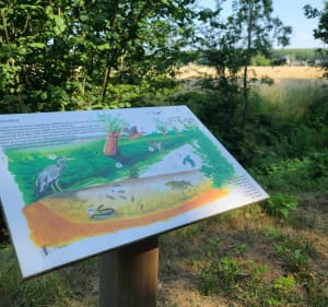 Domaine de la Prévôté - Beuvry - 4