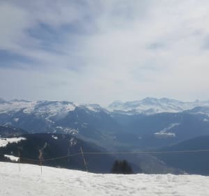 Des saisies au Mont Bisanne - Hauteluce - 4