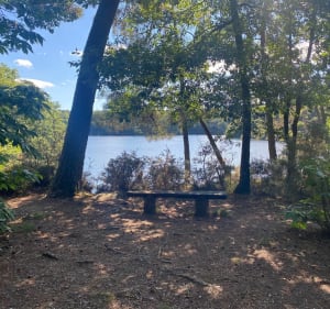 De Trégnaton, le long du lac du Guerlédan - Bon Repos sur Blavet - 5
