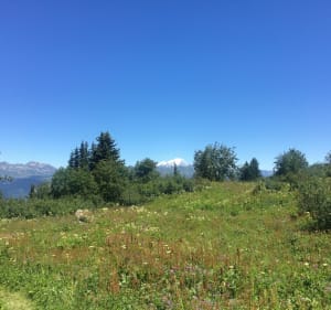 Boucle de l’Aigle Blanc en route passant par Crève-Tête - Les Avanchers-Valmorel - 5