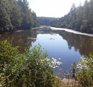 Roches d"Olima, étang de la Comtesse et lac de Bouzey - Golbey - 5