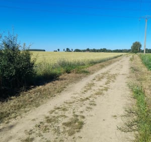 Balade Erquinghem le Sec/Beaucamps Ligny - Erquinghem-le-Sec - 5