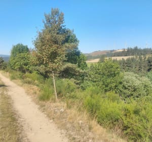 Tour familiale au-dessus de Saint-Étienne lugdares - Saint-Étienne-de-Lugdarès - 3