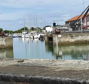 Balade agréable Île de Ré - La Flotte - 3