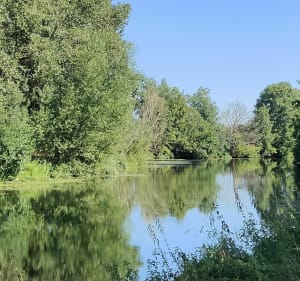 Balade dans le Marais, de Niort à Coulon - Niort - 4