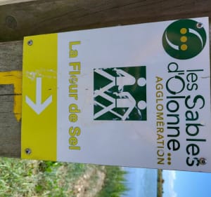 Sentier la fleur de sel - L'Île-d'Olonne - 5