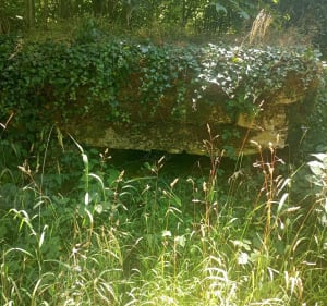 Ballade en forêt à la découverte de la Pierre au Jo - Norroy-lès-Pont-à-Mousson - 4