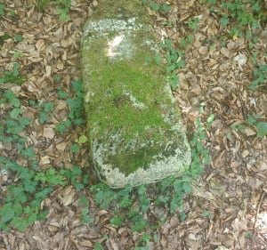 Ballade en forêt à la découverte de la Pierre au Jo - Norroy-lès-Pont-à-Mousson - 5