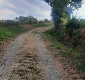 Trop agréable à Saint Ouen des Besaces - Souleuvre en Bocage - 4