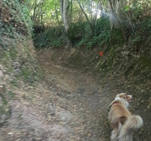 Trop agréable à Saint Ouen des Besaces - Souleuvre en Bocage - 5