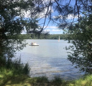 Tour du Grand Etang, entre forêt, plage et vieux château - Sillé-le-Guillaume - 4