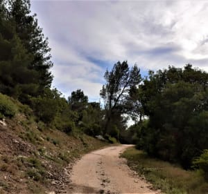 Au cœur des Alpilles par Saint-Gabriel et le vallon de la Lèque - Fontvieille - 4