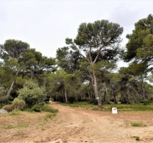 Au cœur des Alpilles par Saint-Gabriel et le vallon de la Lèque - Fontvieille - 6