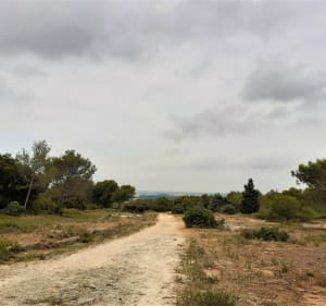 Au cœur des Alpilles par Saint-Gabriel et le vallon de la Lèque - Fontvieille - 7