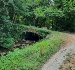 Entre causse et vallon de Marcillac à VTT - Salles-la-Source - 5
