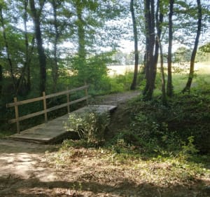 Boucle de Lacroix et Joli bois - Pompignac - 3