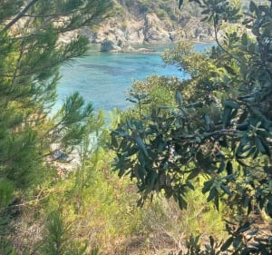 Kustpad van het schiereiland Giens - Hyères - 3