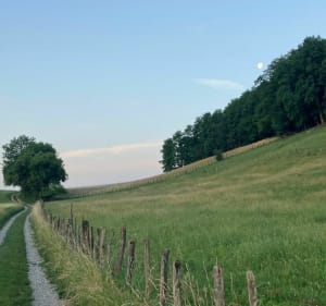 Belle balade autour de la Combe de Sillingy - Sillingy - 5