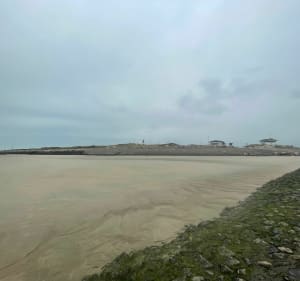 Rendez-vous avec les phoques en baie d’Authie - Cucq - 5