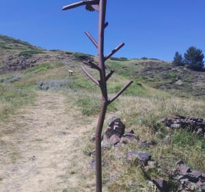 Le plateau de Saugué - Gavarnie-Gèdre - 5