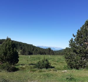 Evasion panoramique au refuge de Llobins - Font-Romeu-Odeillo-Via - 5