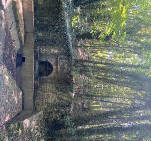 Les châteaux de la Sèvre - Sciecq - 3