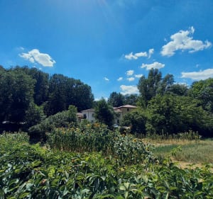 Loop rond Craponne, Yzeron en Fort du Bruissin - Craponne - 5