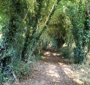 Sur les pas du petit Poucet, balade au cœur de la Creuse - La Cellette - 3