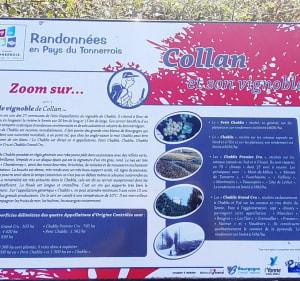 Église de Collan, vallée de Rameau, les Fourneaux Collan - Collan - 5