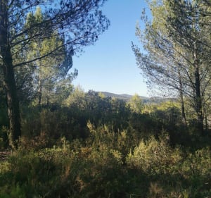 Les terrils des Molx de Biver - Gardanne - 3