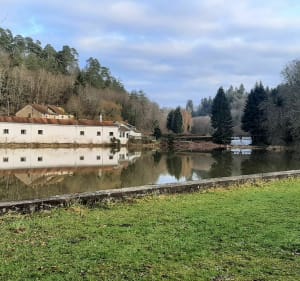 Petite balade dans les bois, de Darney ,la Craque Droiteval - Darney - 3