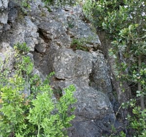 Entre Cévennes et Causses au Pic d'Anjeau - Montdardier - 4